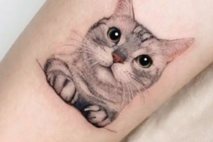 Why Cat Tattoos Are So Popular: A Complete Guide