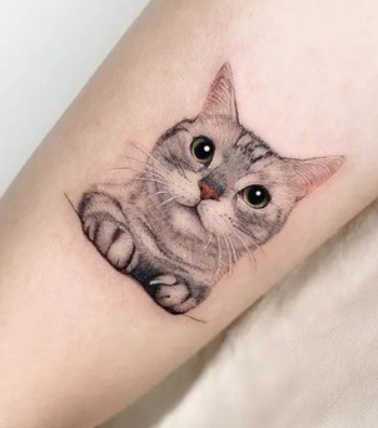 Why Cat Tattoos Are So Popular: A Complete Guide