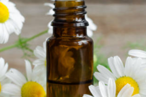 The Benefits of Chamomile Essential Oil for Skin and Hair