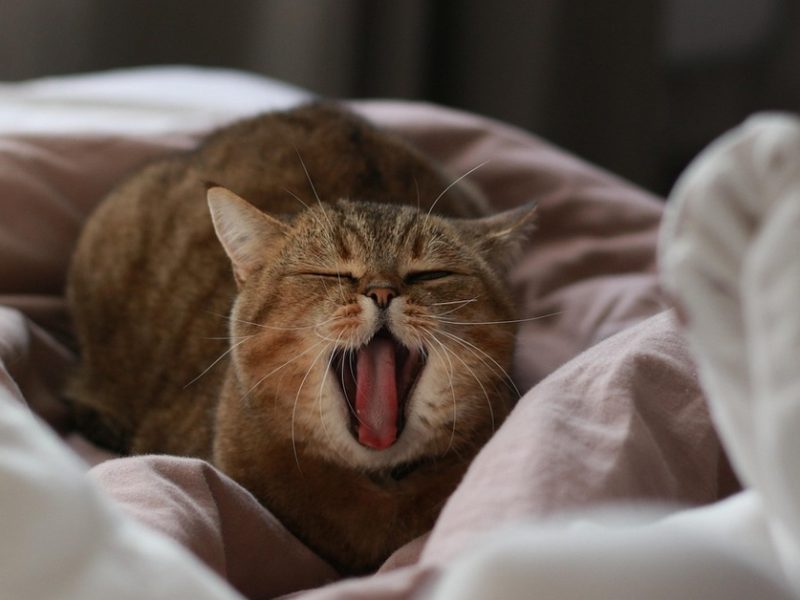 Outfit Inspiration for Every Occasion: Dress to Impress with Confidence