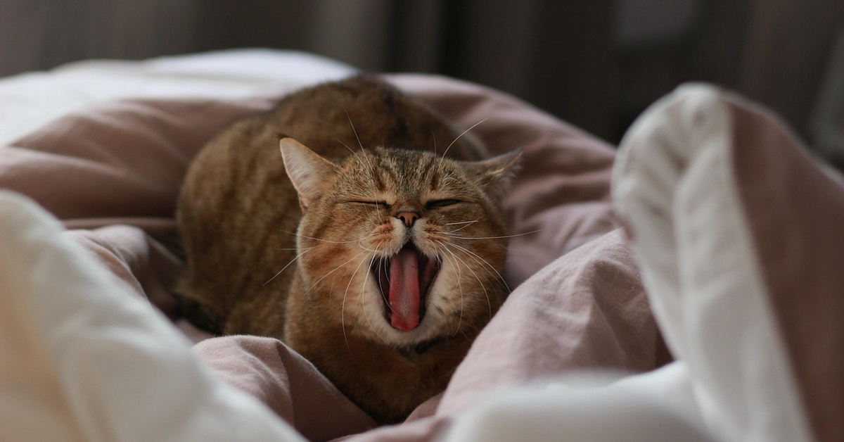 Outfit Inspiration for Every Occasion: Dress to Impress with Confidence